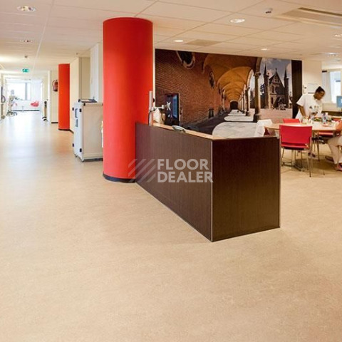 Forbo Marmoleum Decibel on Order 312035 rosato фото 2 | FLOORDEALER